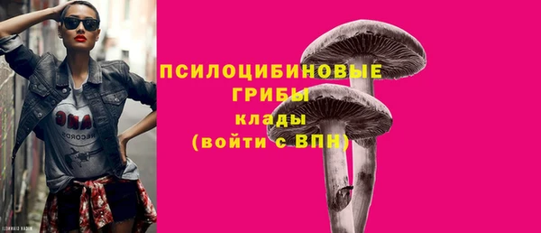 крисы Покачи