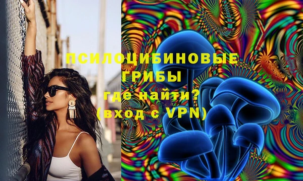 стафф Покровск