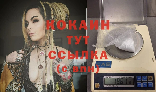 крисы Покачи
