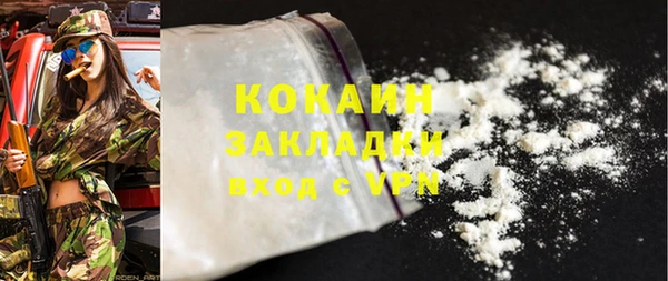 крисы Покачи