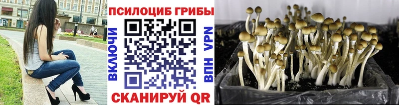 мориарти официальный сайт  Северо-Курильск  Галлюциногенные грибы мухоморы 